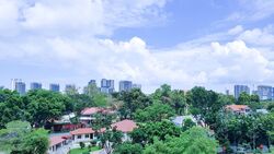 One Tree Hill Residence (D10), Apartment #625948891